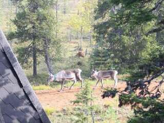 Дома для отпуска Holiday Home Rukassos b Рука Дом для отпуска-51